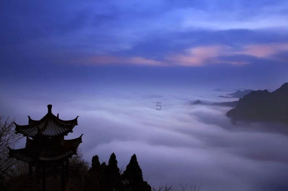 发现你不知道的冷知识,尽在我有两个教师资格证,都要注册吗冷知识分享平台!