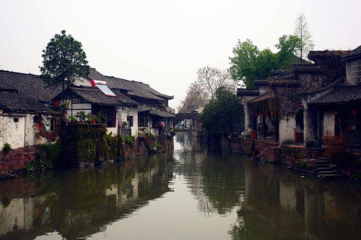 动物帮帮忙保卫家园