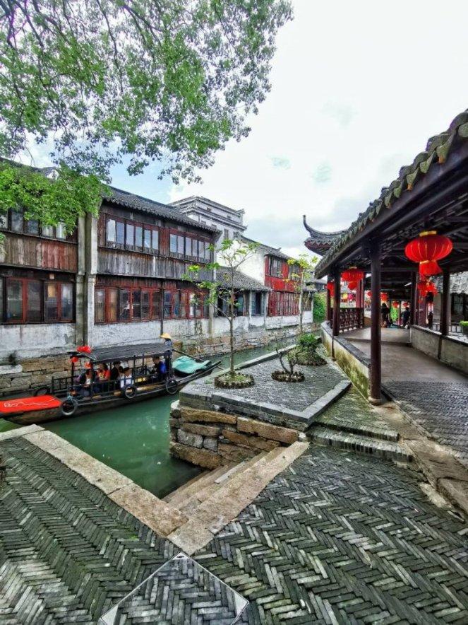 动物帮帮忙保卫家园